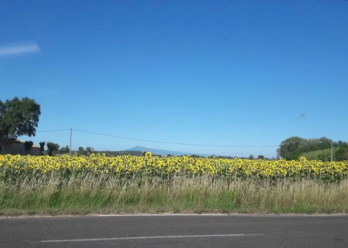 Lou Christelle Casa de Férias Roquemaure (Gard)